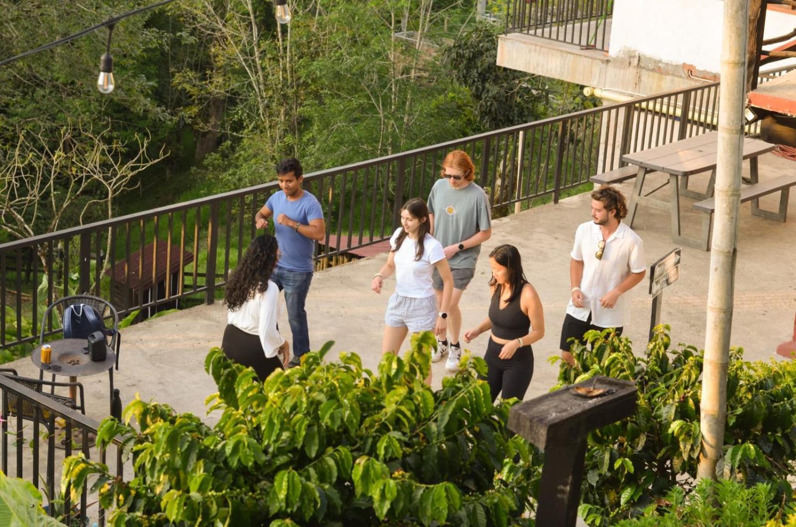Coffee Tree Boutique Hostel Salento Exterior foto