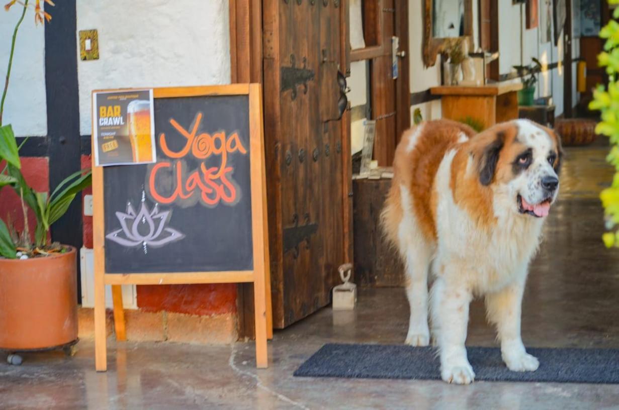 Coffee Tree Boutique Hostel Salento Exterior foto
