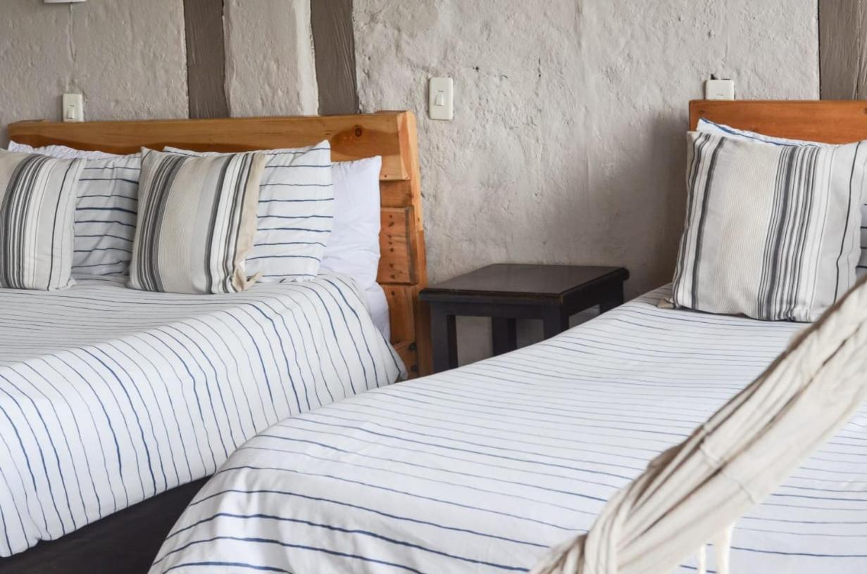 Coffee Tree Boutique Hostel Salento Exterior foto